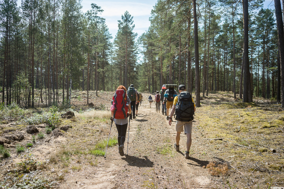 Dzūkijos nacionalinis parkas - Vaikštūnai